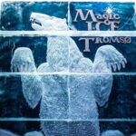 Tromsø: Magic Ice Bar Entrance and Welcome Drink - The Art & Atmosphere