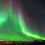 Tromsø: Nocturnal cod fishing with meal. - Who Is This Tour Best For?