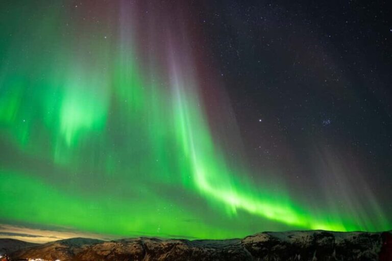 Tromsø: Nocturnal cod fishing with meal. - Who Is This Tour Best For?