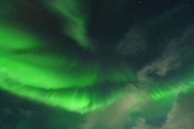 Tromsø: Northern Light tour with free complimentary photos. - The Cost and Whats Included