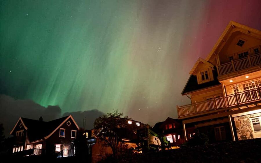 Tromsø: Northern Lights Bus Tour  Chase the Aurora Borealis - What to Expect from the Tour