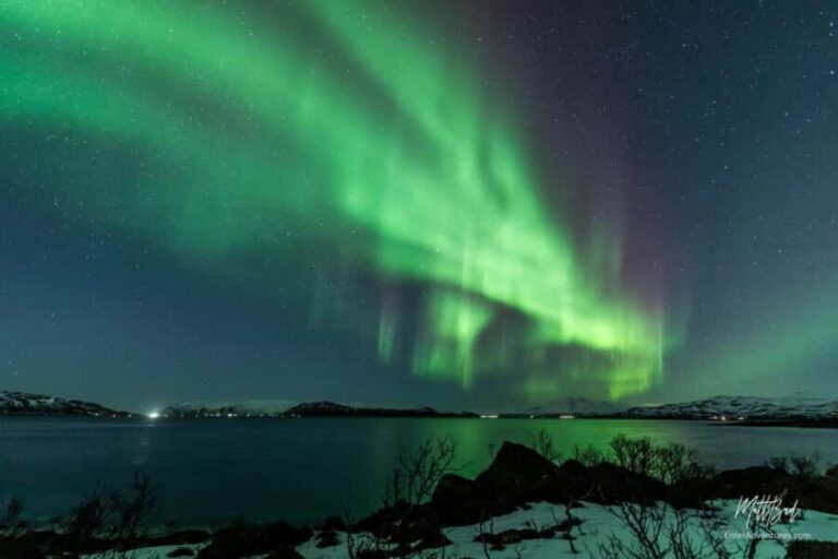 Tromsø: Northern Lights Bus Tour with Free Photos - Key Points