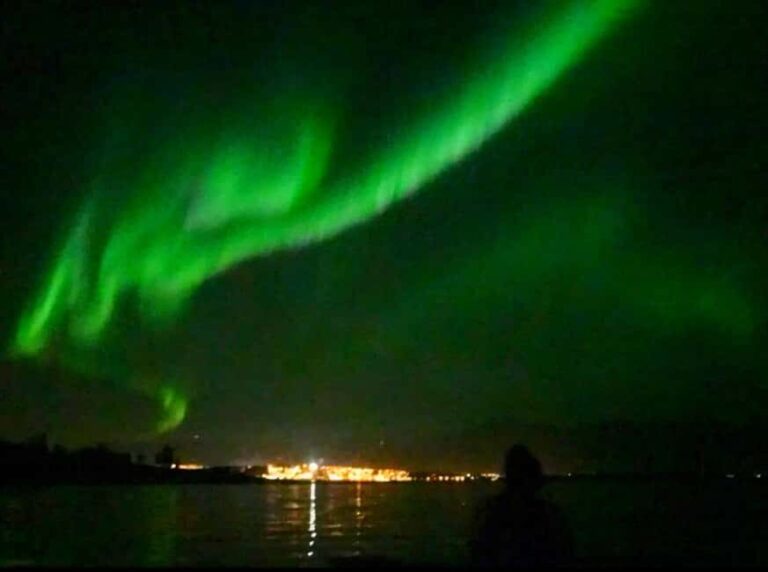 Tromsø: Northern Lights Chase  Small Group Experience - What to Expect During the Tour