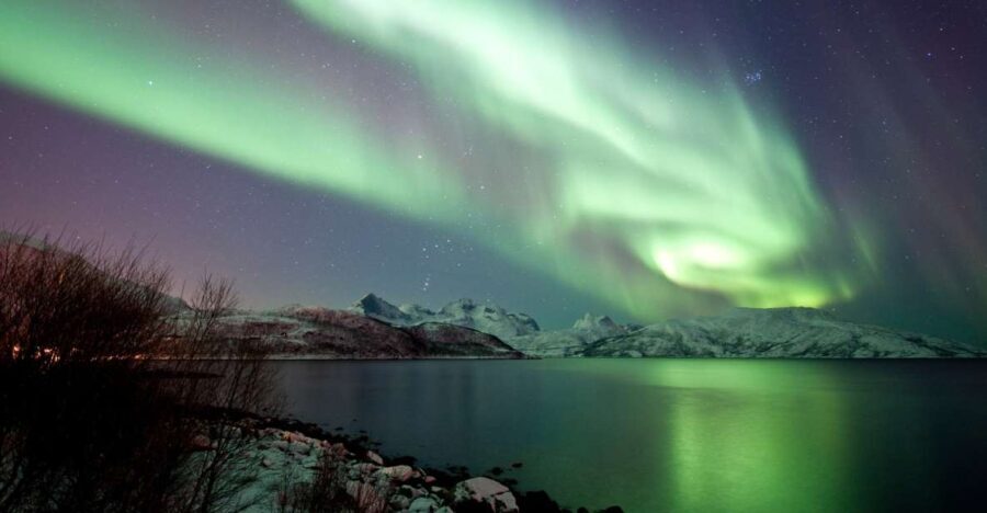 Tromsø: Northern Lights Chase with 2nd Chance Guarantee - Who Should Consider This Tour?