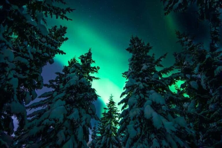Tromsø: Northern Lights Hunt with a Professional Photographer in Spanish - FAQs