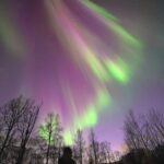 Tromso: Northern Lights Minibus Tour with Campfire - The Real Value for Travelers