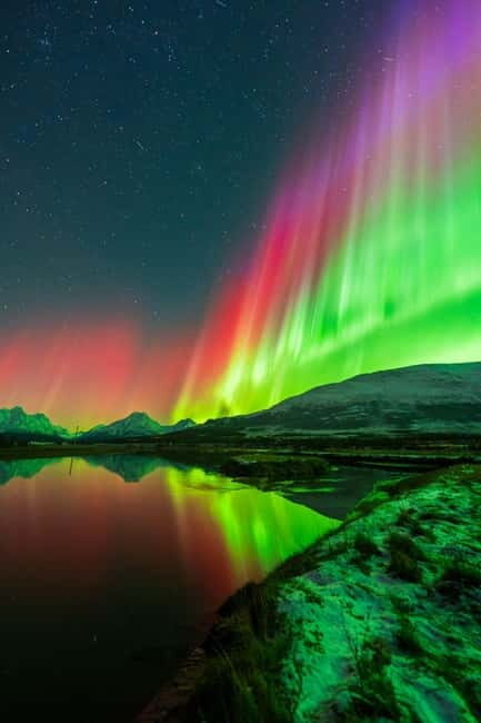 Tromsø: Northern Lights Tour with Campfire - The Real Value of the Tour