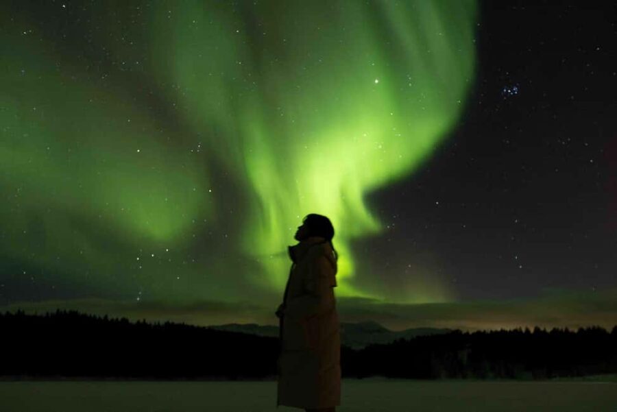 Tromsø: Northern Lights Tour with Dinner and Native Guide - Transportation, Timing, and Group Size