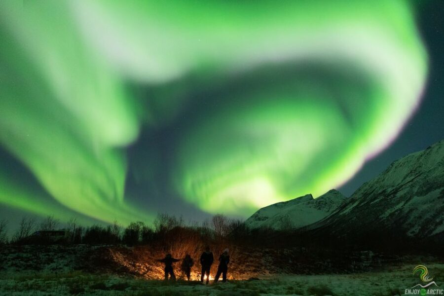 Tromsø: Northern Lights Trip with Campfire and Snacks - Itinerary Breakdown: What to Expect?