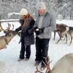 Tromsø: Reindeer Experience at a Sami Camp - What to Expect from This Reindeer Experience