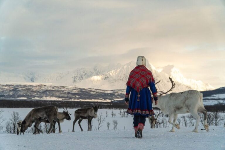 Tromsø: Reindeer Feeding and Sami Cultural Experience - Who Should Consider This Tour?