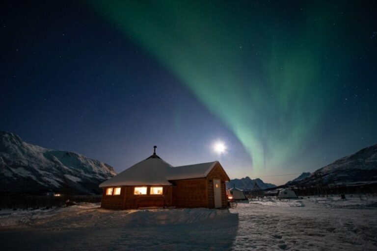 Tromsø: Reindeer Feeding & Chance of Northern Lights Viewing - The Sum Up