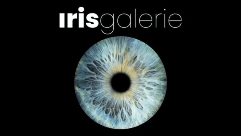 Tromsø: Reveal Your Eye Experience at the Iris Galerie - How the Process Works