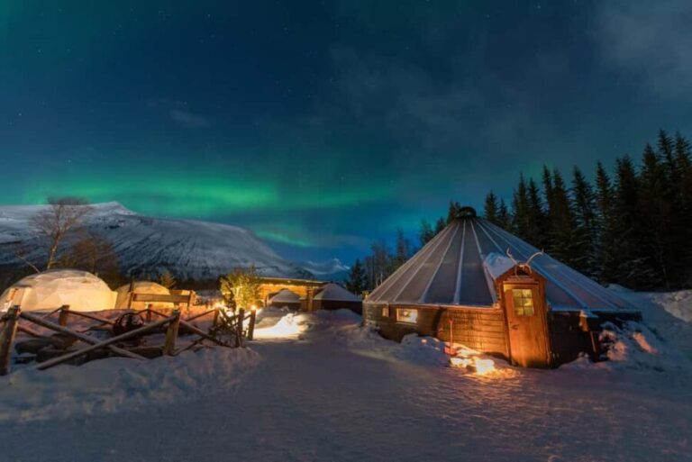 Tromsø: Sami Culture, Northern Lights and Reindeer Feeding - The Itinerary: What to Expect on the Day