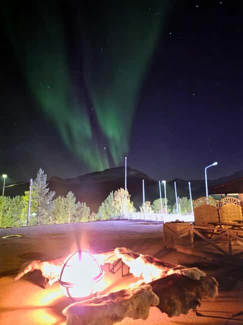 Tromsø: Sami Culture & Reindeer with Transport - Is It Worth It?