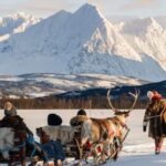 Tromsø: Sámi Reindeer Sledding and Sami Cultural Tour - The Sami Camp and Reindeer Encounters