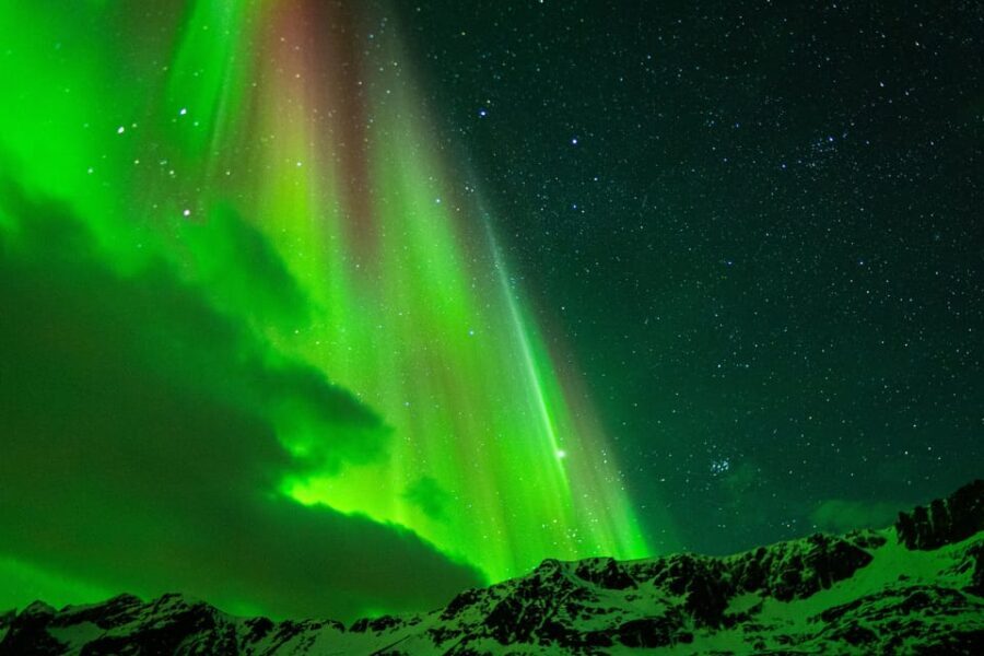 Tromsø: Small-Group Adventurous Northern Lights Hunt - The Value of the Tour