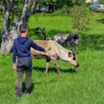 Tromsø: Sommaroy Fjord Tour with Lunch Option - The Island of Sommarøy – The Tour’s Highlight