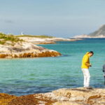 Tromsø: Summer Fjord Road Trip with Citizen Science - Wildlife Spotting and Natural Encounters