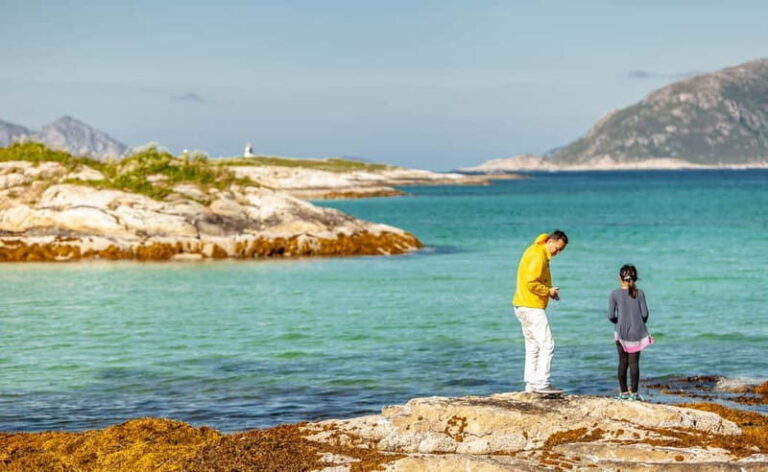 Tromsø: Summer Fjord Road Trip with Citizen Science - Wildlife Spotting and Natural Encounters