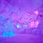 Tromsø: Tromsø Snow Dome Entry Ticket - The Pros and Cons Based on Visitor Feedback