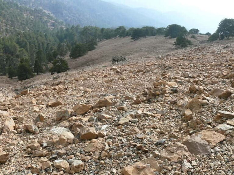 Troodos walking trip - The Myllomeris Waterfalls Trail: A Refreshing Contrast