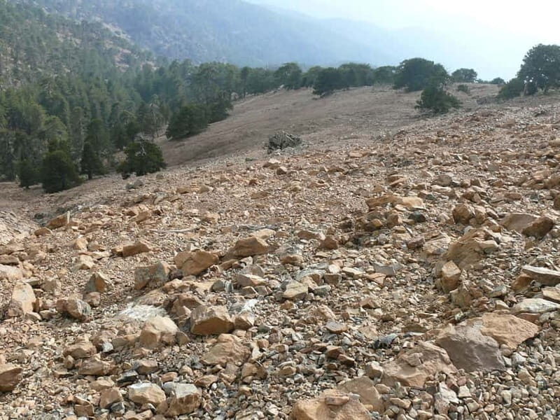 Troodos walking trip - The Myllomeris Waterfalls Trail: A Refreshing Contrast