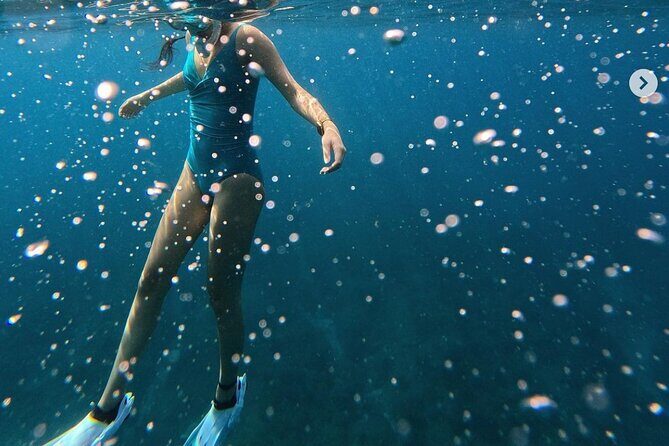 Tropical Reef & Wildlife Boat Snorkel Adventure - Who Should Consider This Tour?