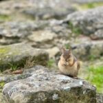 Troy: Full-Day Tour from Istanbul - Starting from Istanbul: The Journey Begins