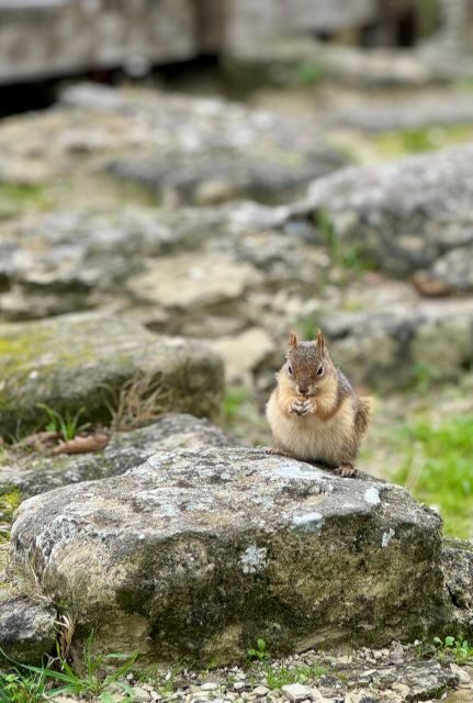 Troy: Full-Day Tour from Istanbul - Starting from Istanbul: The Journey Begins