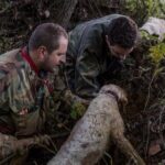 Truffle hunting - The Scenic Setting: Why It Matters