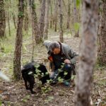 Truffle Hunting and 3-course Truffle Brunch in Motovun - Who Would Love This?