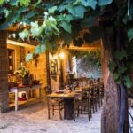 Truffle Hunting and Handmade Pasta in Ascoli Piceno - Exploring the Heart of Marche: A Genuine Truffle Experience