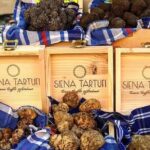 Truffle Hunting Experience Siena Tartufi - FAQ