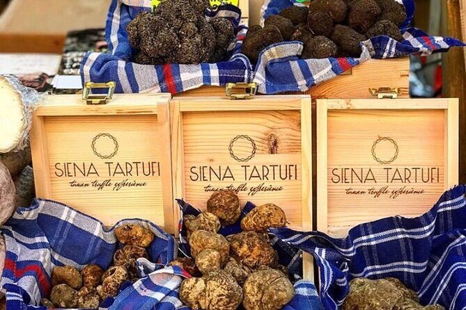 Truffle Hunting Experience Siena Tartufi - FAQ