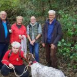 Truffle Hunting Experience with a Guide - Learning About Truffles: Beyond the Hunt