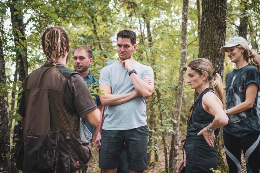 Truffle Hunting in San Gimignano - What to Expect During the Tour