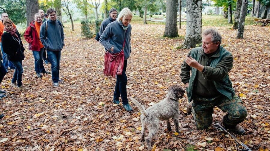 Truffle Hunting In The Hills Of Tuscany - A Deeper Look at the Itinerary