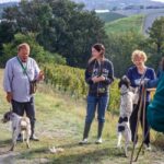Truffle hunting in the Langhe - Truffle hunting with a real truffle hunter - Practical Tips for Making the Most of Your Tour