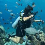 Try diving without previous experience from shore - Final thoughts