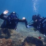 Try Scuba Diving in Lanzarote (No experience needed) - The Value for Money