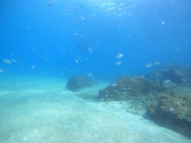 TRY SCUBA - Experience for beginners - What to Expect from This Lanzarote Dive Experience