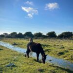 Tuili: Wild Giara Tour - The Practical Side: Logistics and Value