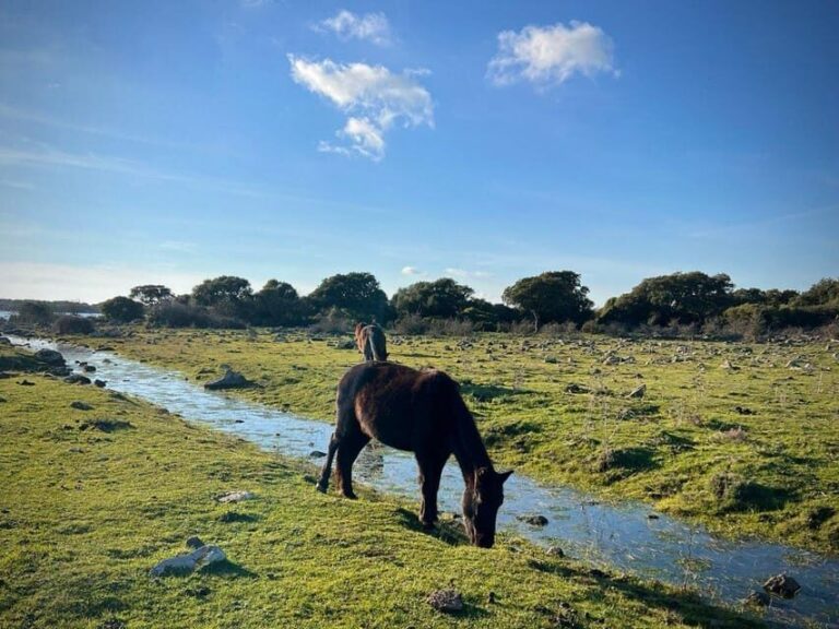 Tuili: Wild Giara Tour - The Practical Side: Logistics and Value