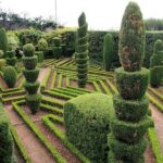 Tuk Tuk Botanical Garden - Madeira Island - An Easy and Personal Way to Explore Madeira