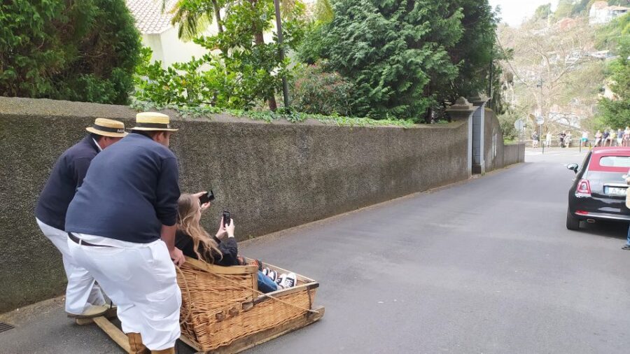 Tuk Tuk Monte Toboggan - Madeira Island - Is It Worth the Price?