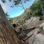 Tuk Tuk Private Tour in Sintra and Beaches - Who Is This Tour Best For?