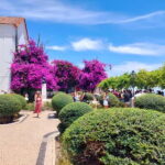 Tuk-Tuk sightseeing in lisbon(Old town) - Who Is This Tour Best Suited For?