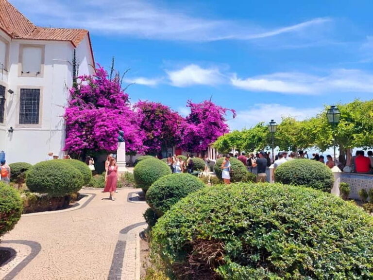 Tuk-Tuk sightseeing in lisbon(Old town) - Who Is This Tour Best Suited For?