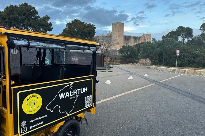 Tuk Tuk Tour in Palma de Mallorca - Who Is This Tour Best For?